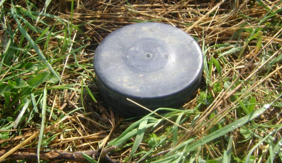 Mina przeciwpiechotna położona na trawie.